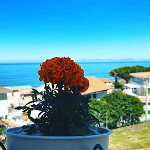 Blue Sea B&B